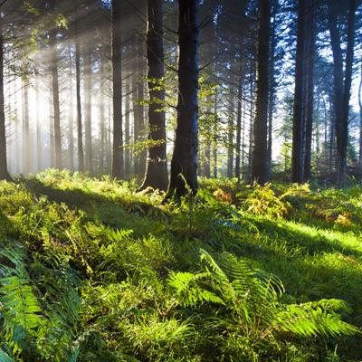 必博体育官方app下载