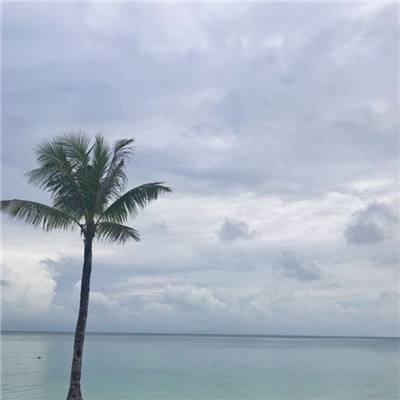 大发彩票www官方网址版